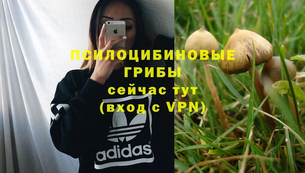гашишное масло Лагань