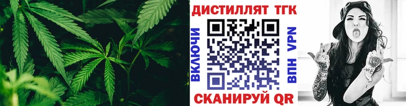 Купить где  Дивногорск  ТГК концентрат 